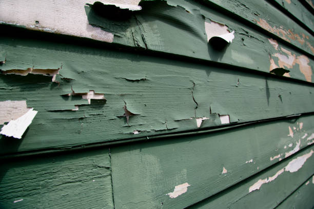 Junk Removal for Events in Altadena, CA